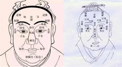 面相分析图|面相分析